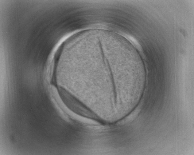 X0000116590816201001071232