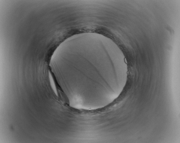 X0000116590818201001071232