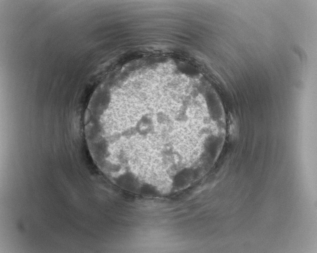 X0000116590819201001071232