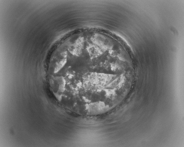 X0000116590823201001071232