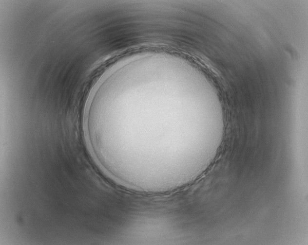 X0000116590824201001071232