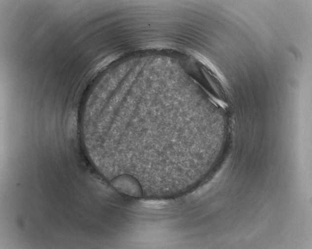 X0000116590825201001071232