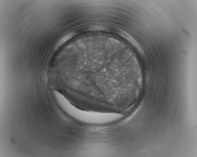 X0000116590826201001071232