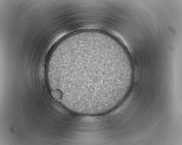 X0000116590827201001071232