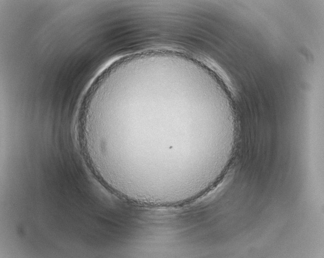 X0000116590828201001071232