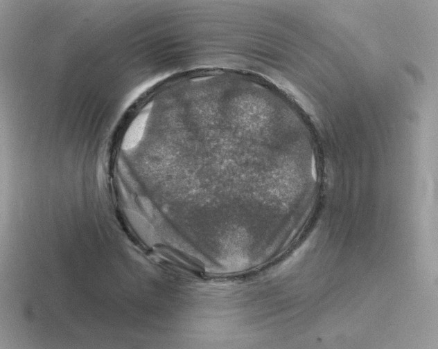 X0000116590830201001071232