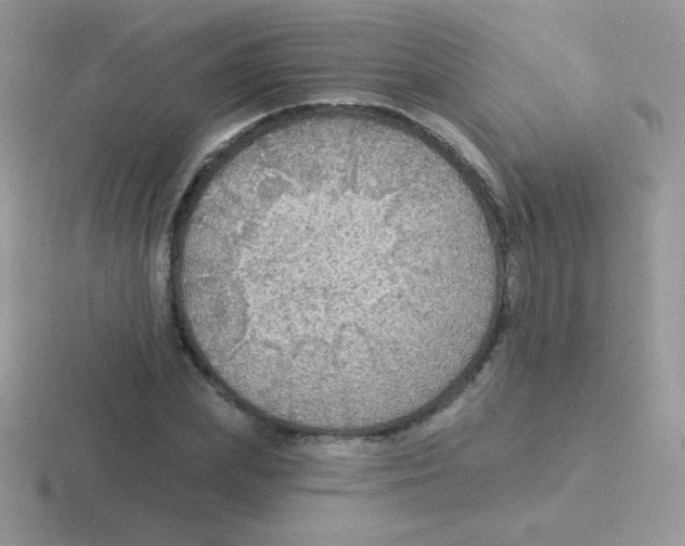 X0000116590831201001071232