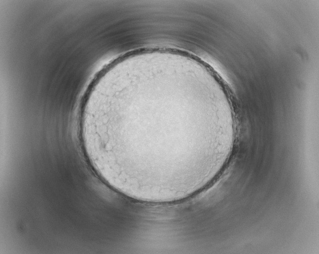 X0000116590832201001071232