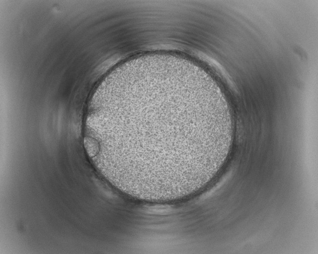 X0000116590833201001071232