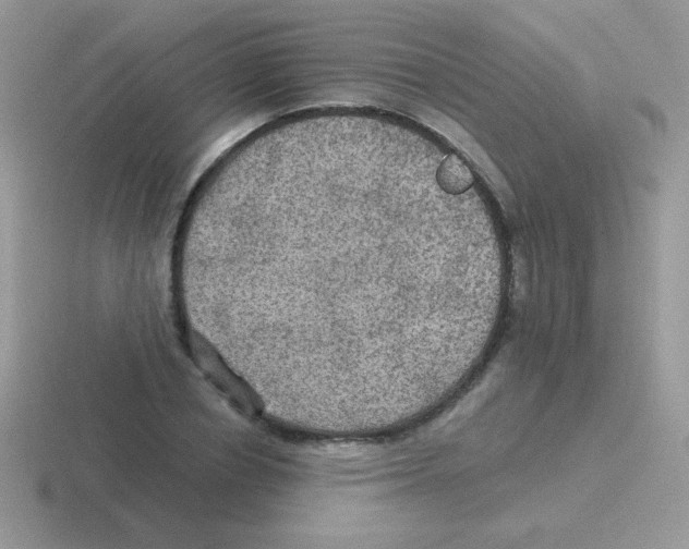 X0000116590834201001071232