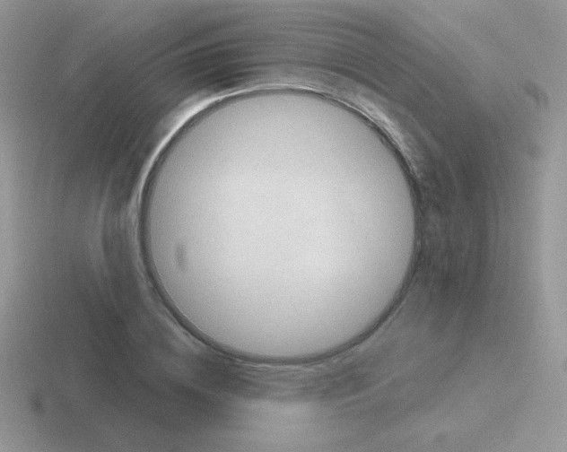 X0000116590836201001071232