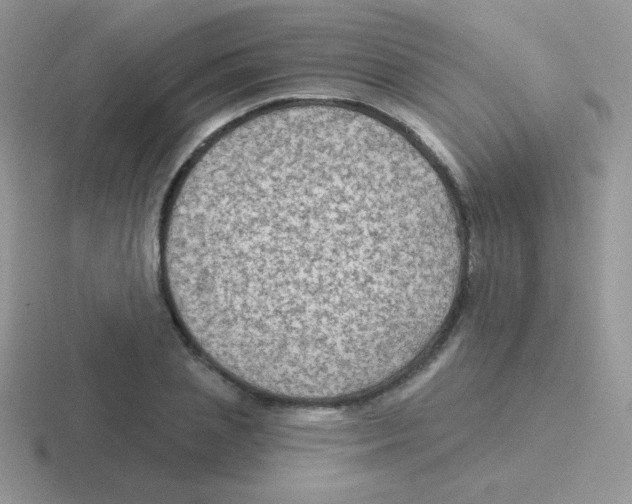 X0000116590837201001071232