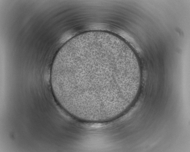 X0000116590841201001071232