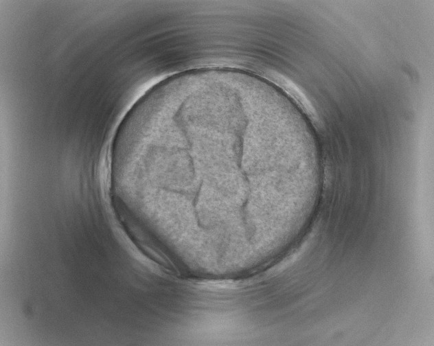 X0000116590844201001071232