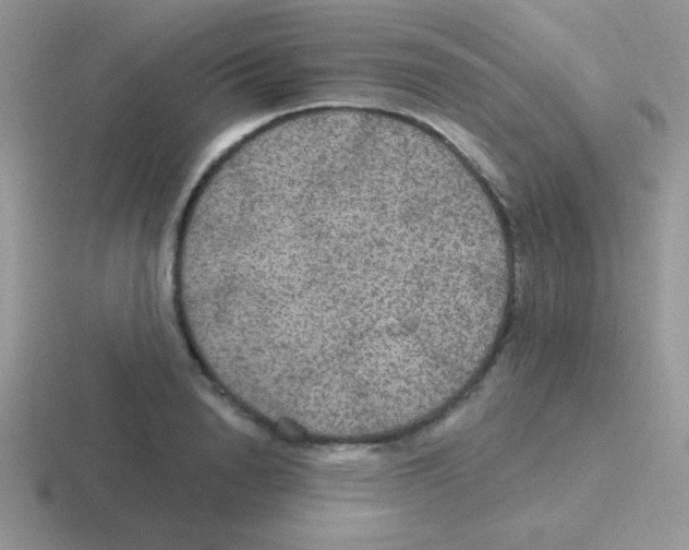 X0000116590846201001071232