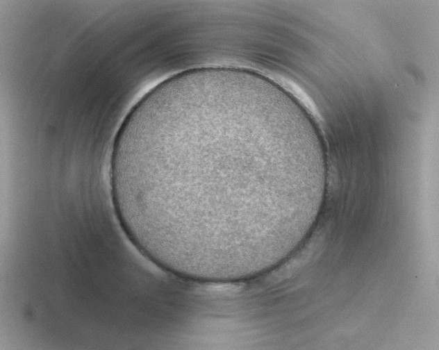 X0000116590847201001071232