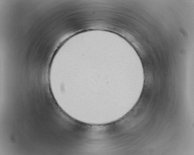 X0000116590848201001071232