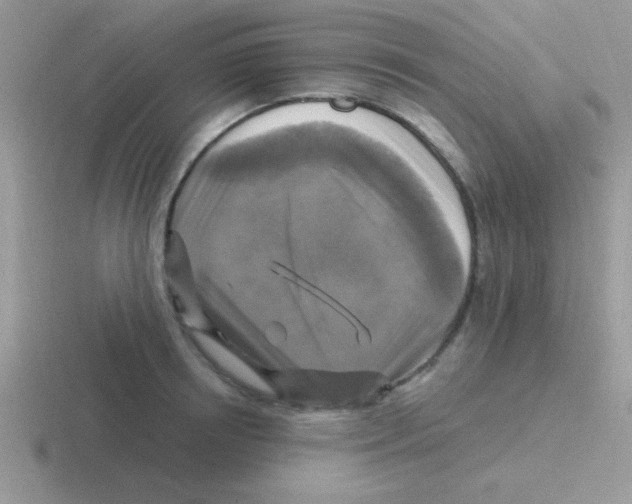 X0000116590850201001071232