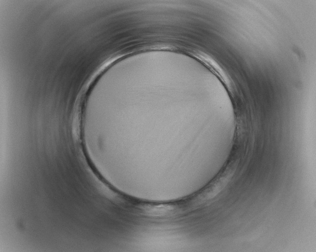 X0000116590851201001071232