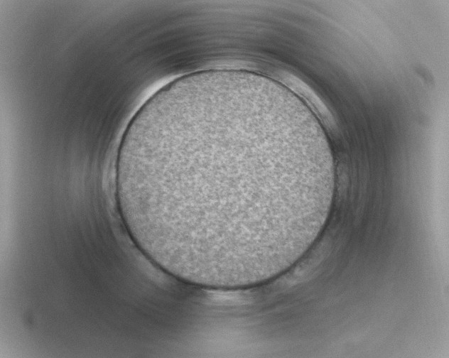 X0000116590852201001071232