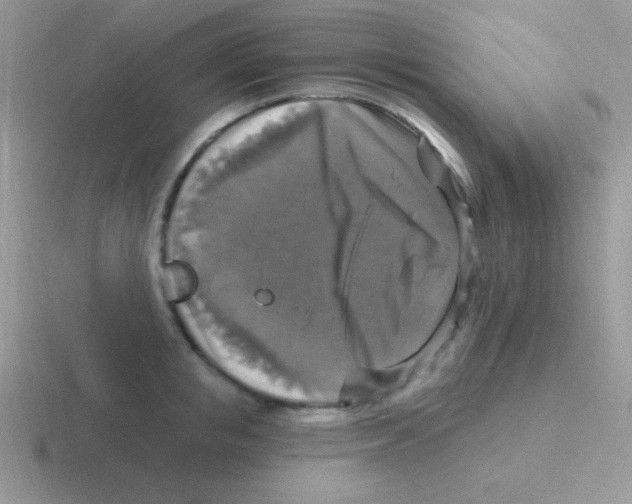 X0000116590853201001071232