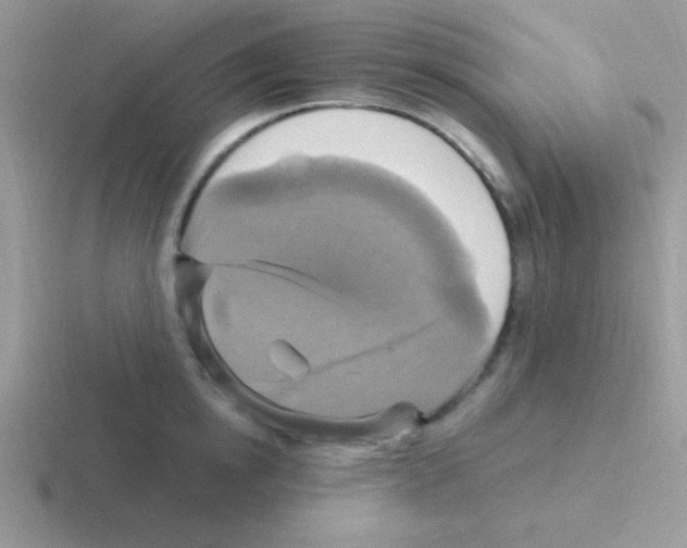 X0000116590854201001071232