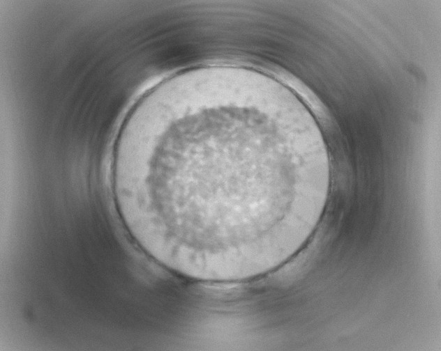 X0000116590856201001071232