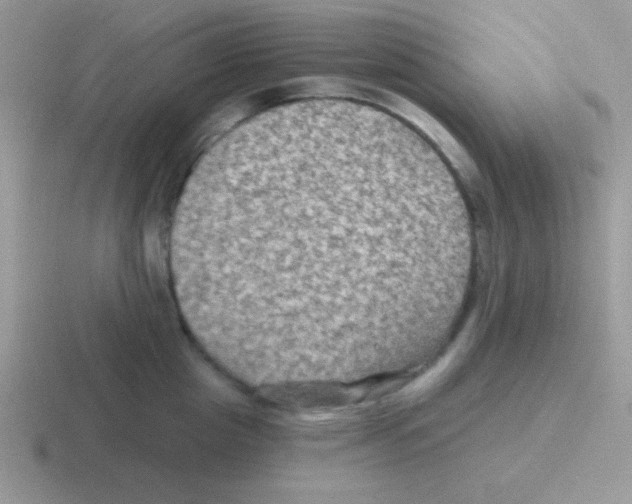 X0000116590857201001071232