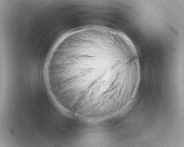 X0000116590859201001071232