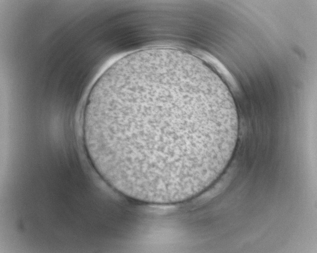 X0000116590860201001071232