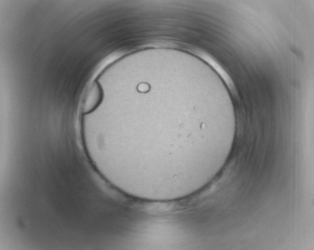 X0000116590861201001071232