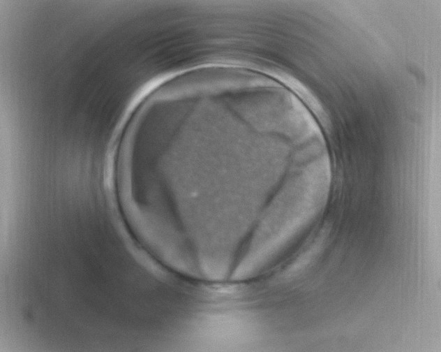 X0000116590862201001071232