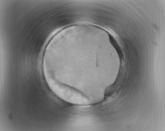 X0000116590864201001071232