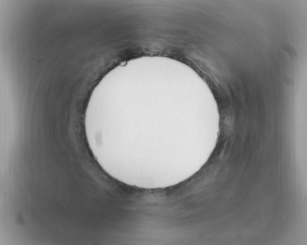 X0000116590865201001071232