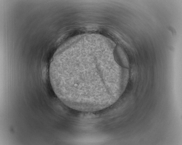 X0000116590866201001071232