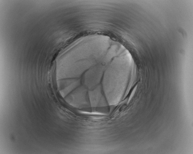 X0000116590868201001071232