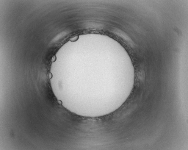 X0000116590869201001071232