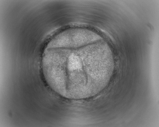 X0000116590870201001071232