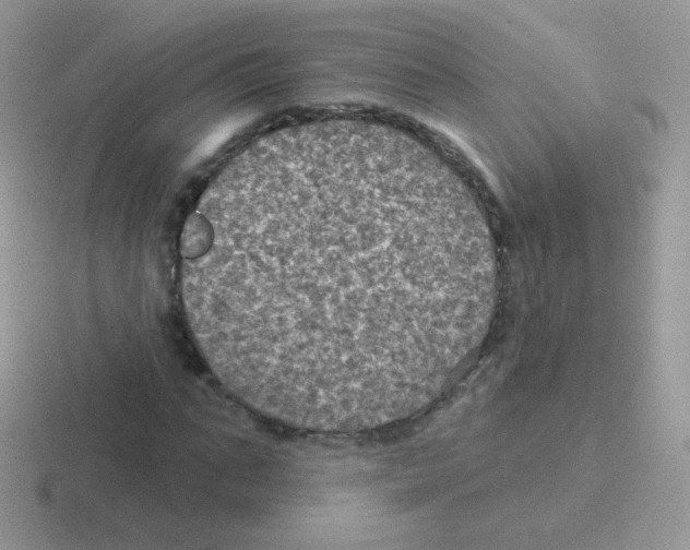 X0000116590871201001071232