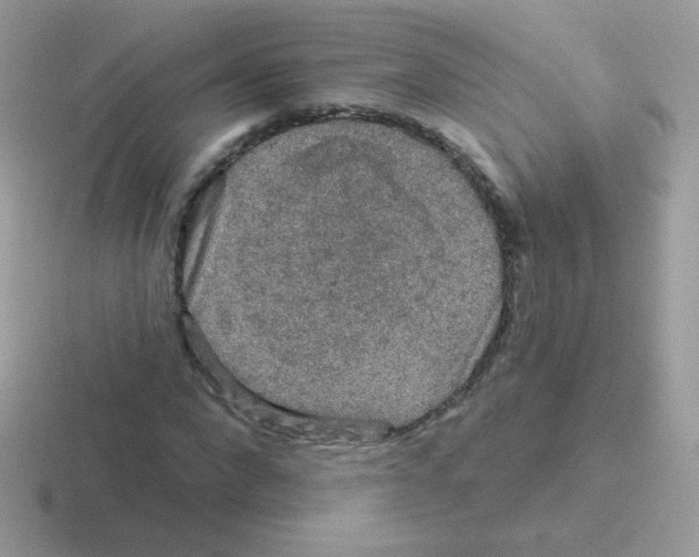 X0000116590872201001071232