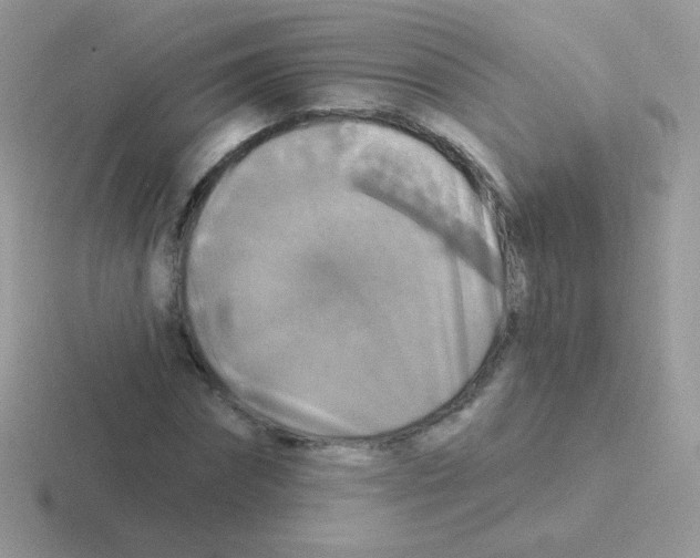 X0000116590874201001071232