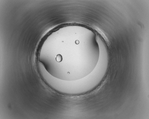 X0000116590876201001071232