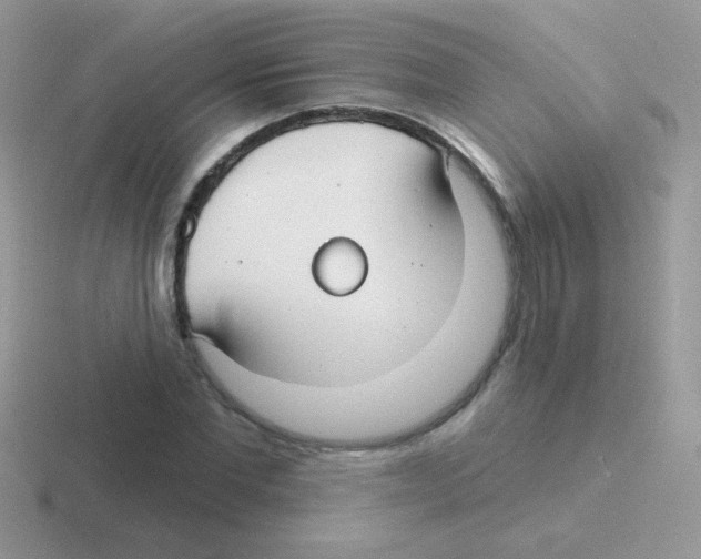 X0000116590877201001071232