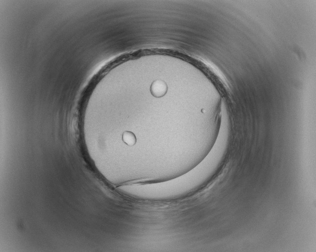 X0000116590878201001071232