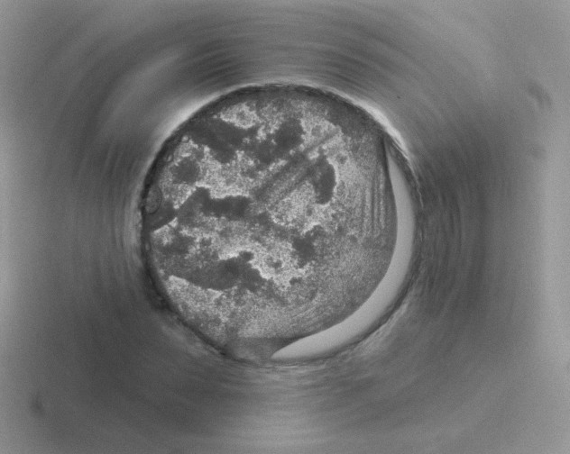 X0000116590879201001071232