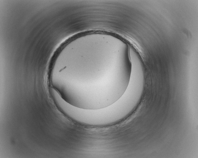 X0000116590880201001071232