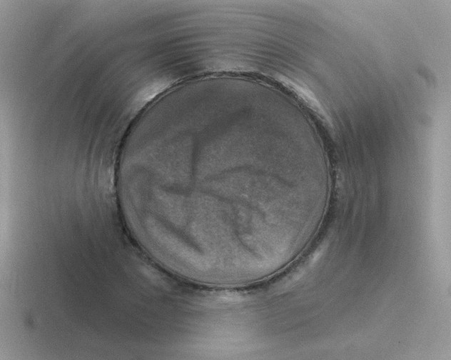 X0000116590881201001071232