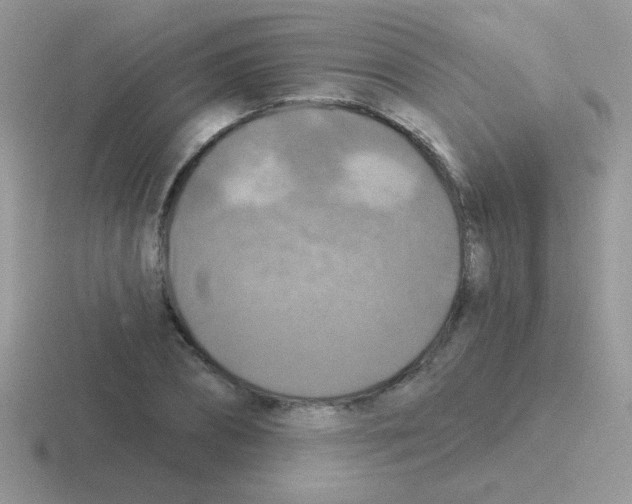 X0000116590882201001071232