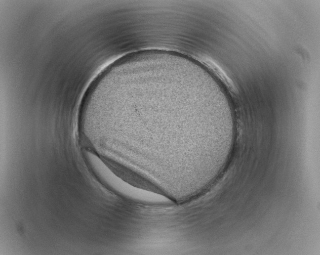 X0000116590884201001071232