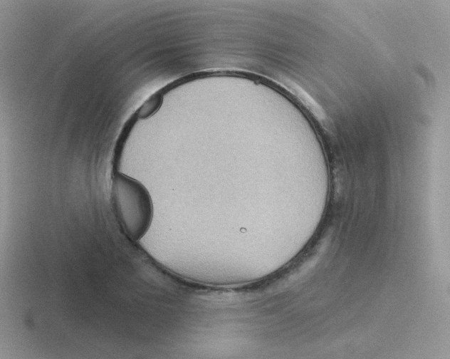 X0000116590885201001071232